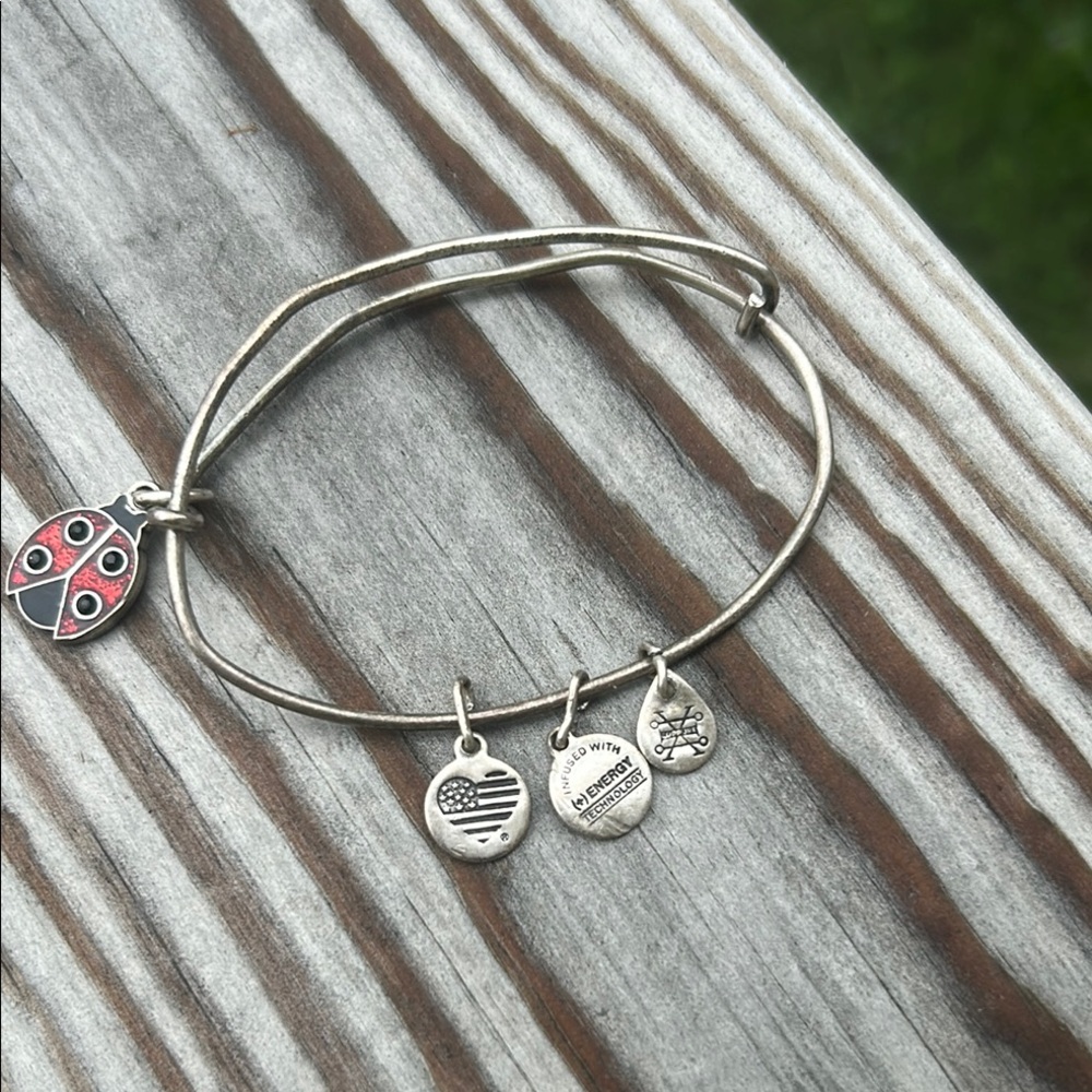 Alex and Ani Silver Charm Bangle Bracelet
